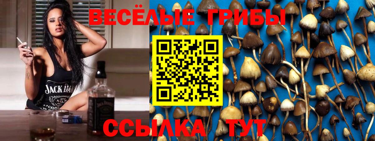 Пушкино  Псилоцибиновые грибы Psilocybine cubensis  Вход с VPN  Галлюциногенные грибы прущие грибы 