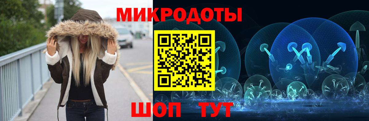 Псилоцибиновые грибы Psilocybine cubensis Пушкино